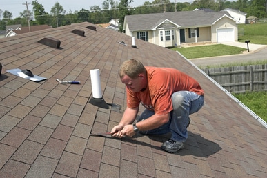 Roof inspector with tool